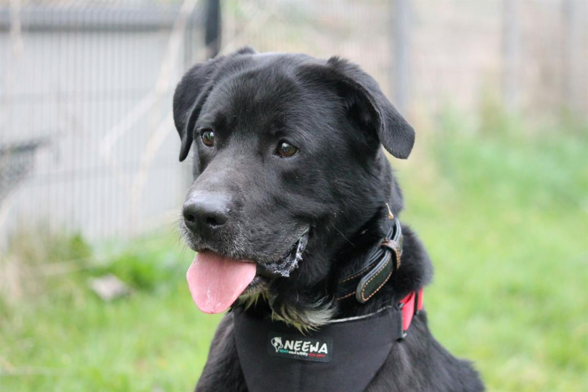 Photo #5 de Ptolemee