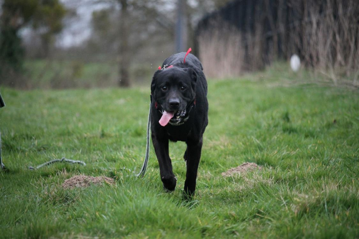 Photo #8 de Ptolemee