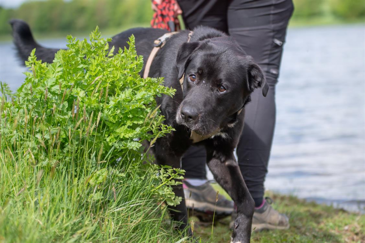 Photo #10 de Ptolemee