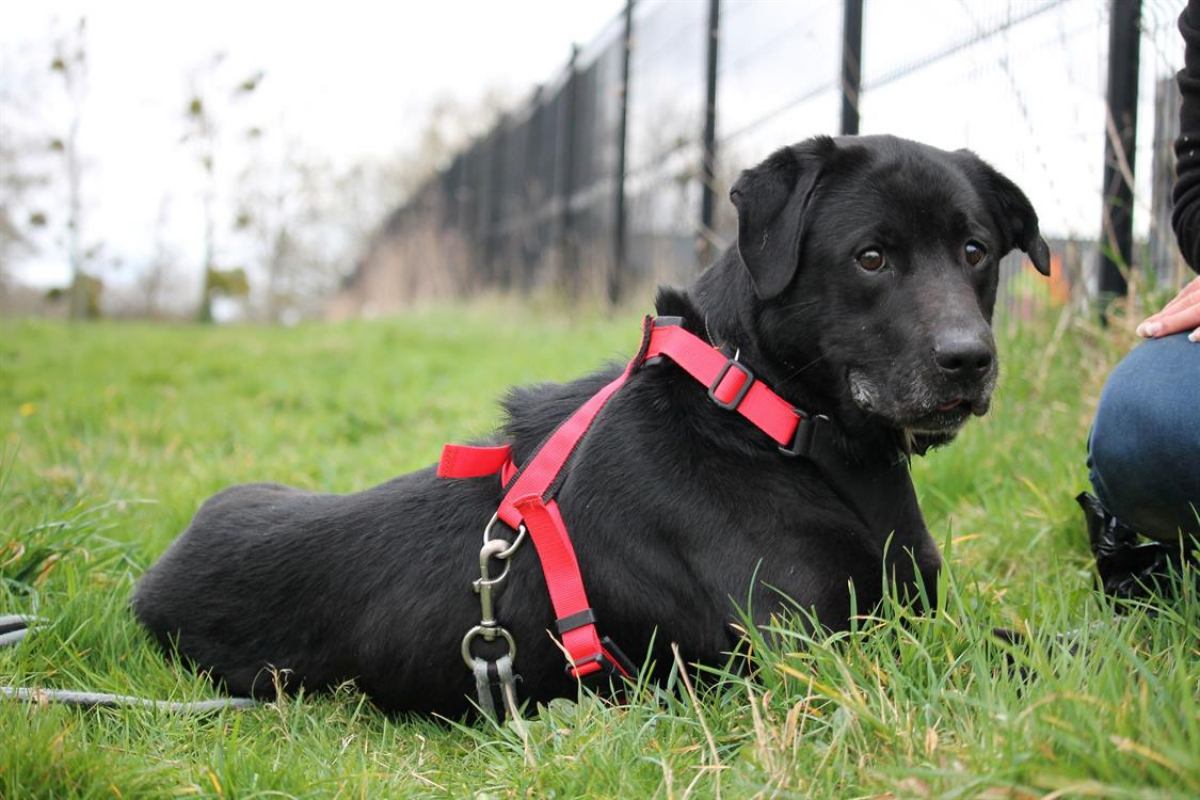 Photo #11 de Ptolemee