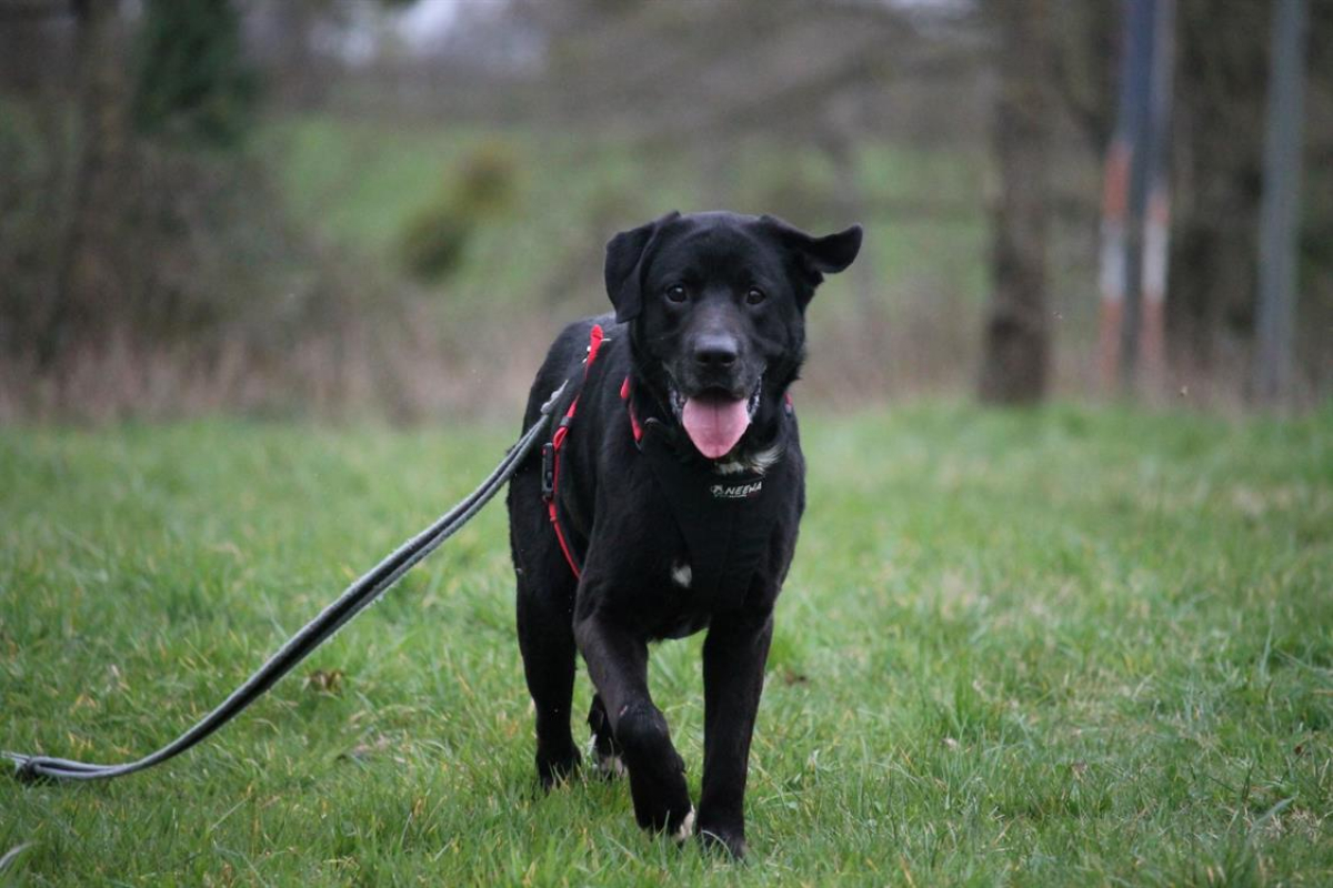 Photo #6 de Ptolemee