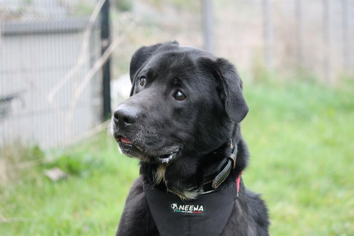 Photo #7 de Ptolemee