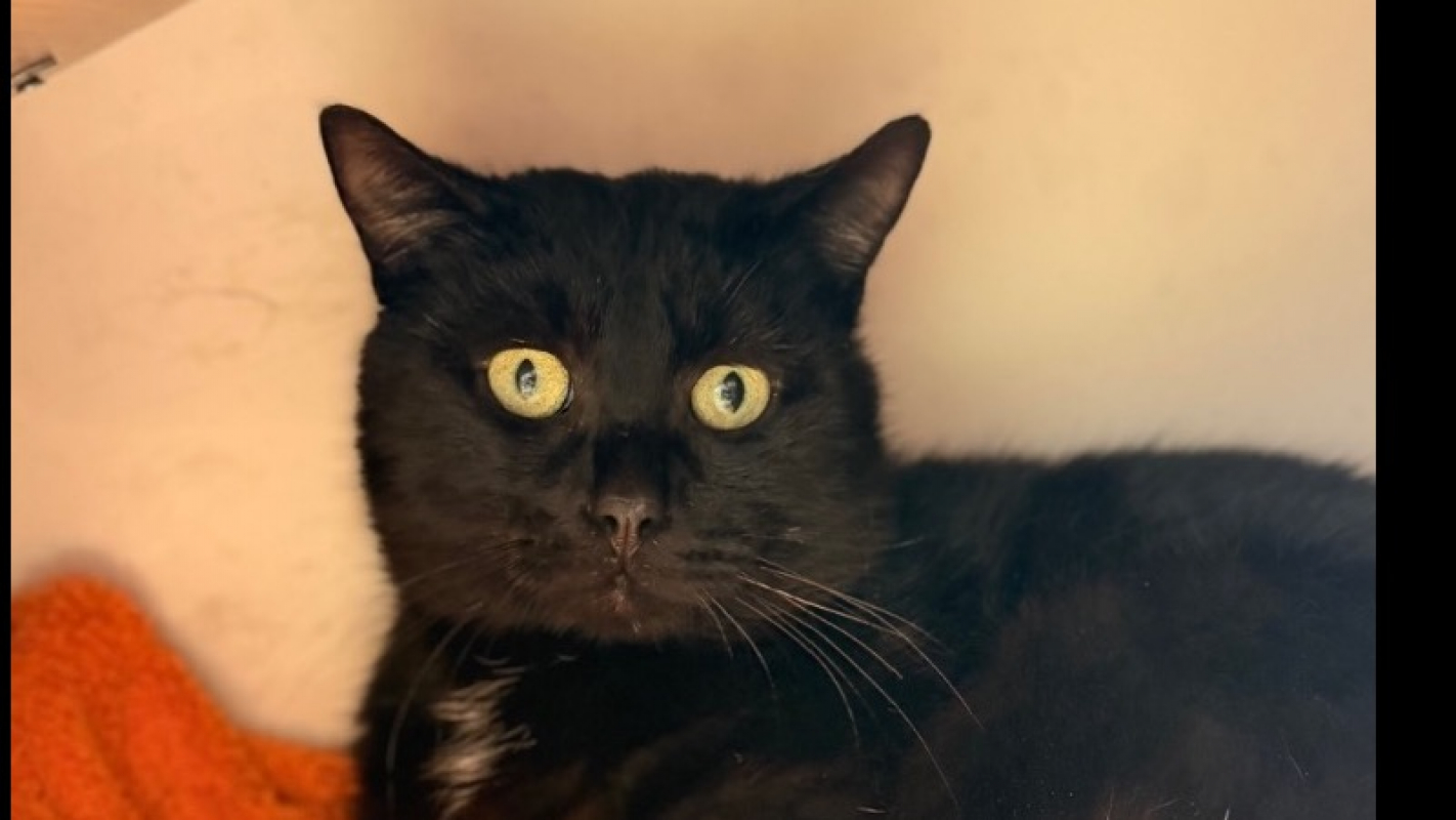 Photo de Clem