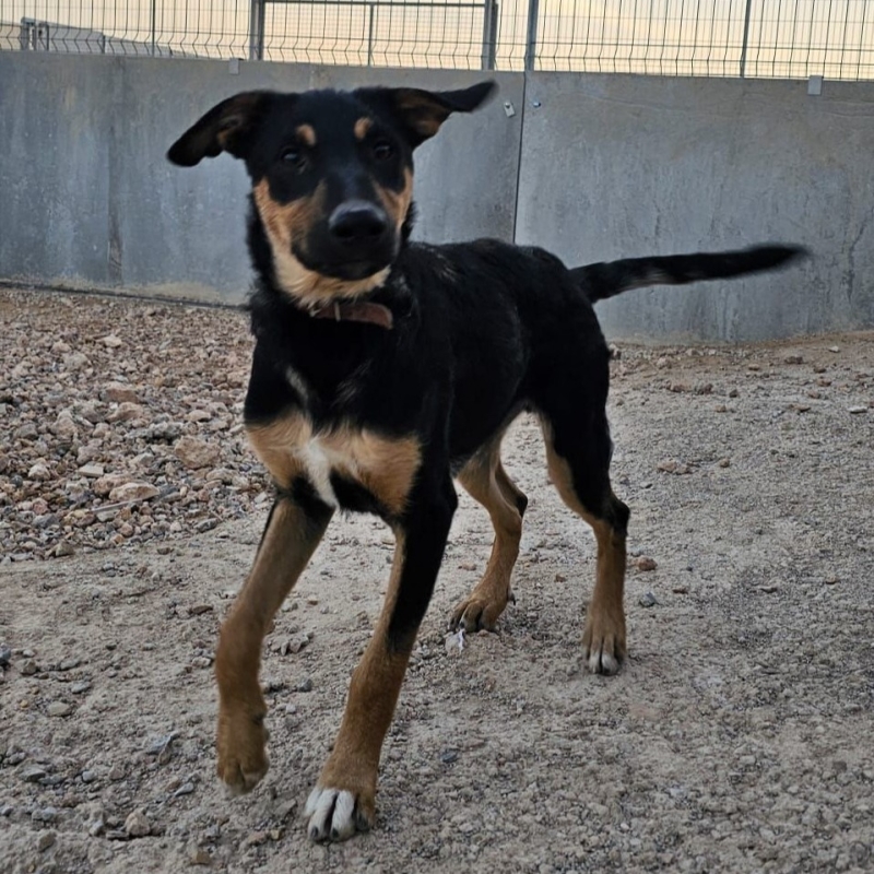 Photo de Zeus