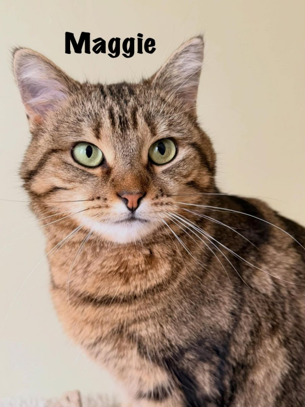 Photo #4 de MAGGIE