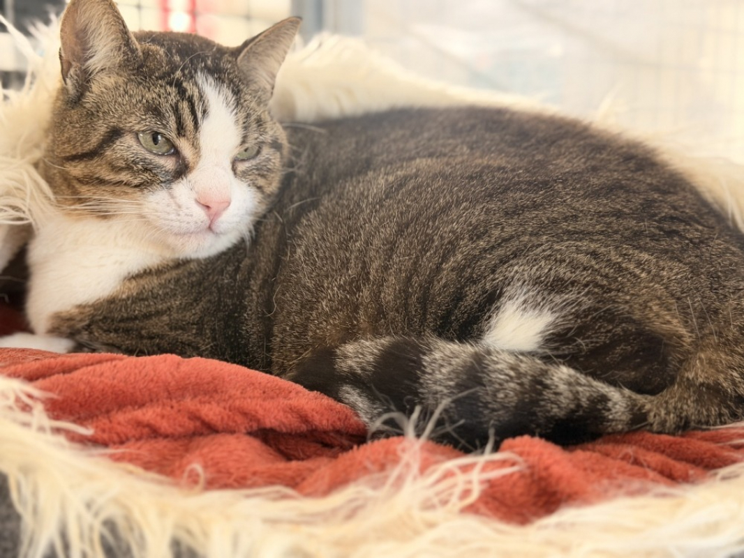 Photo #1 de Titou