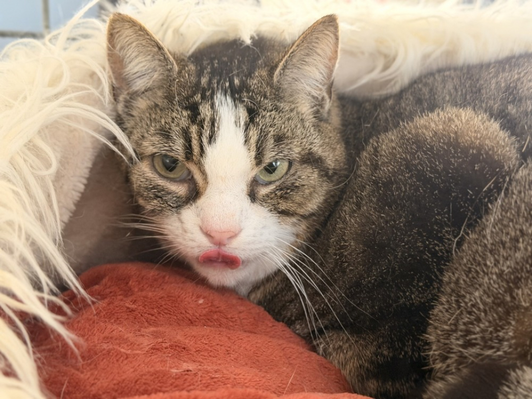 Photo #2 de Titou