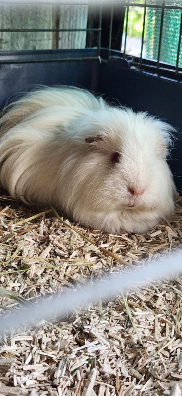 Photo de Snow 