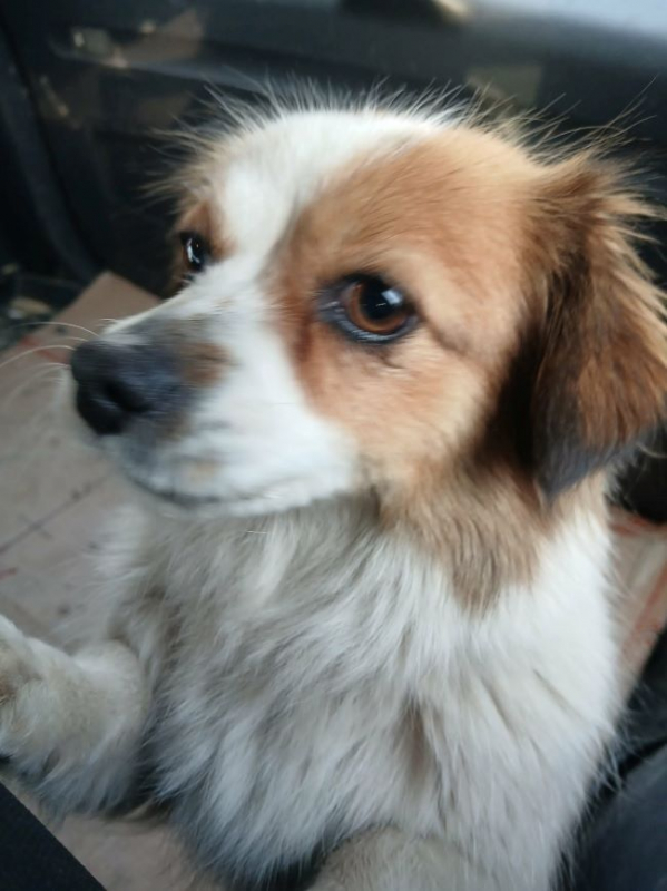 Photo #1 de Rosita