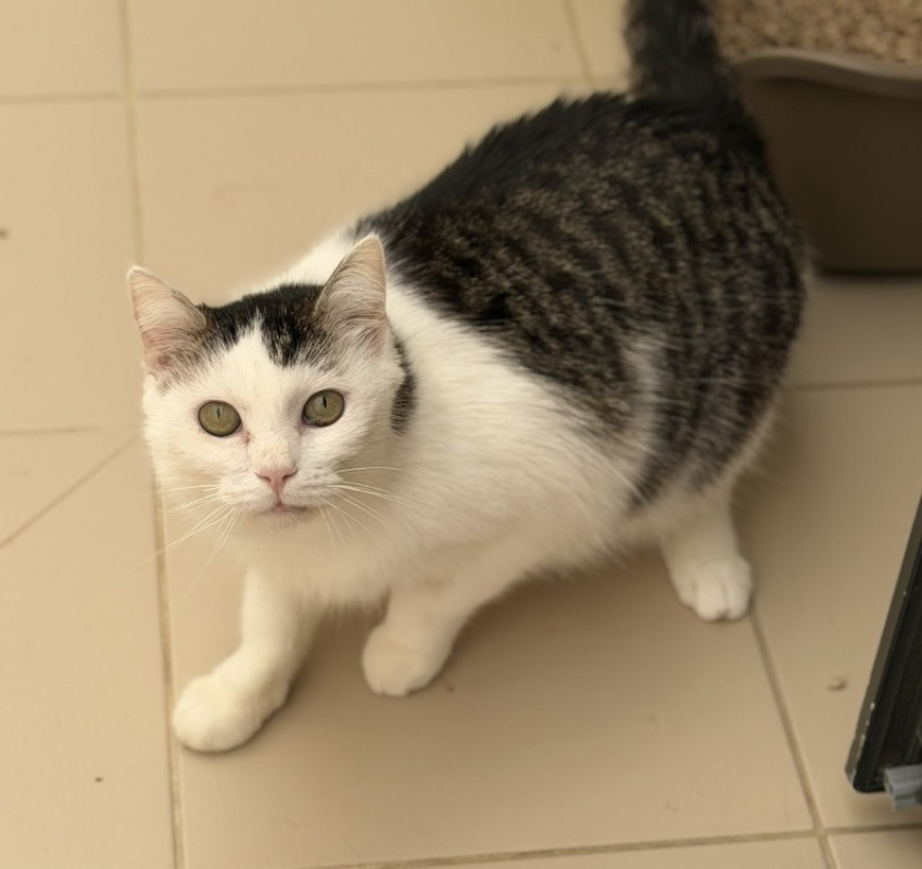 Photo de Filou