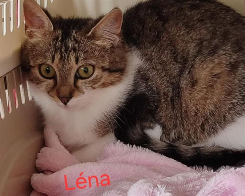 Photo de Léna