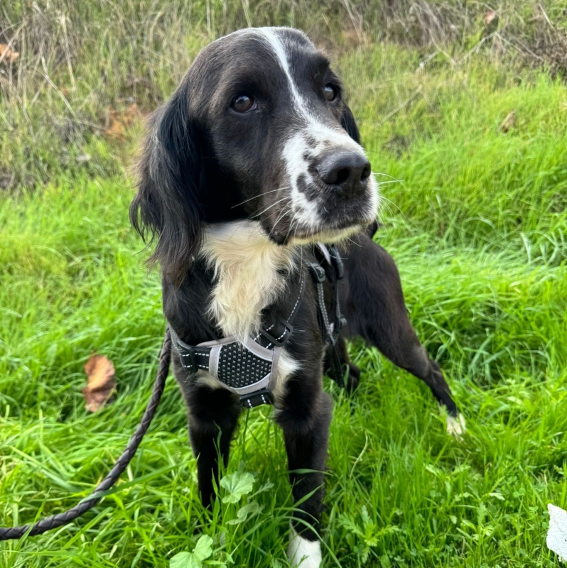 Photo de Lucky