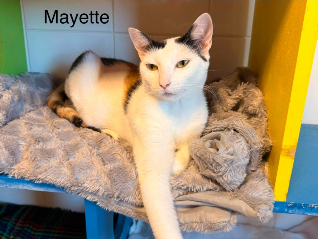 Photo de Mayette