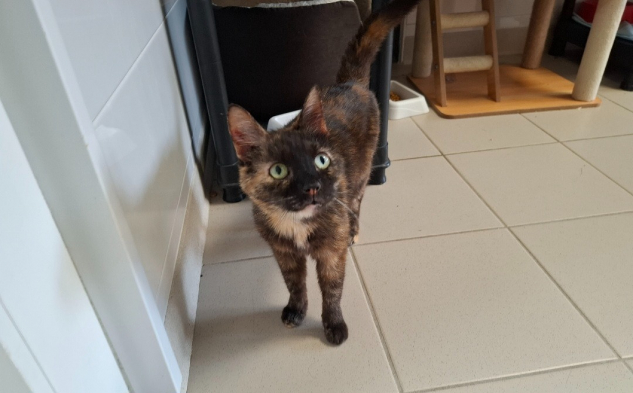 Photo de Noisette