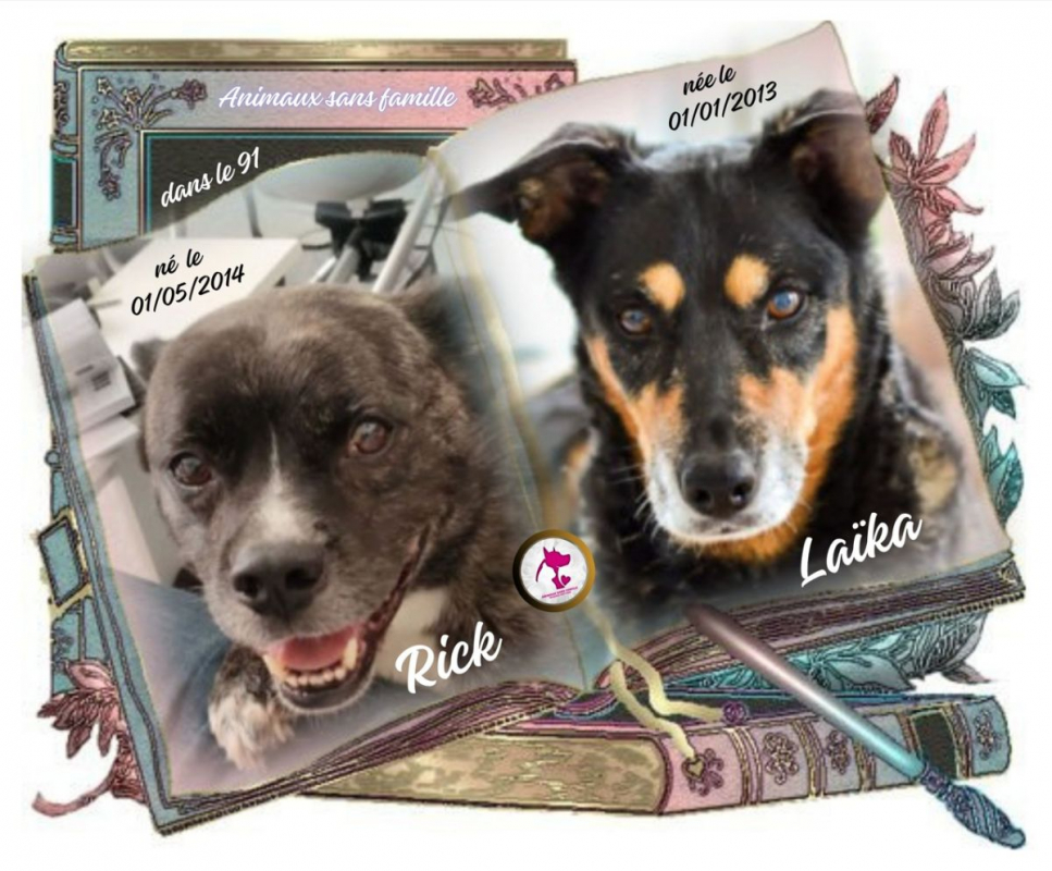 Photo de Rick & Laïka