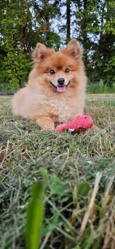Photo de Kimi 