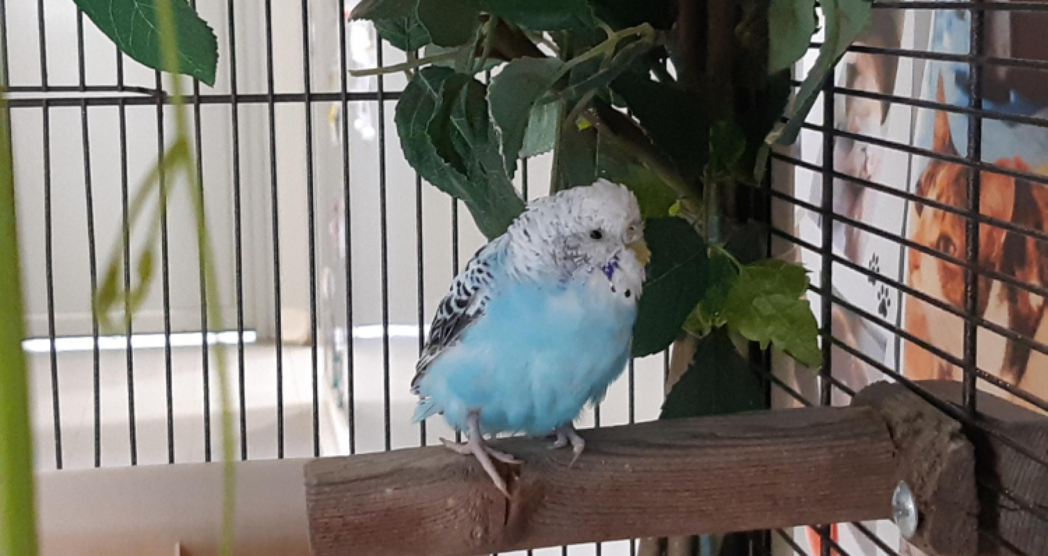 Photo de Cielo