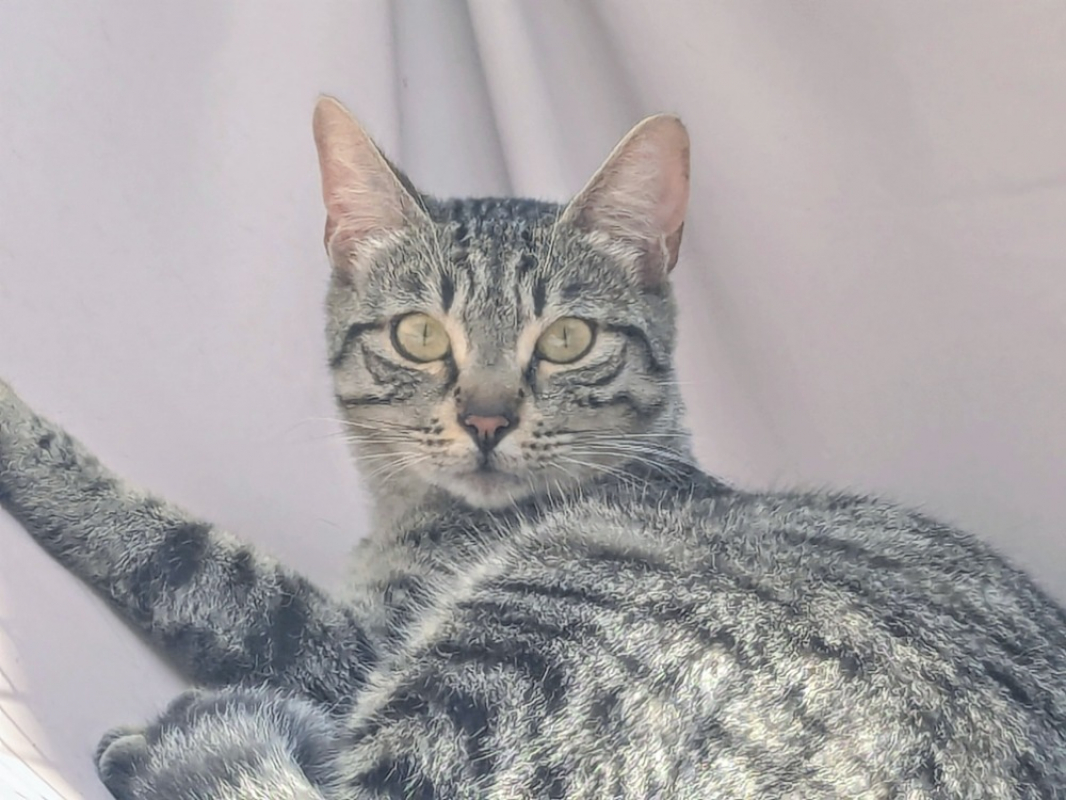 Photo de Princesse