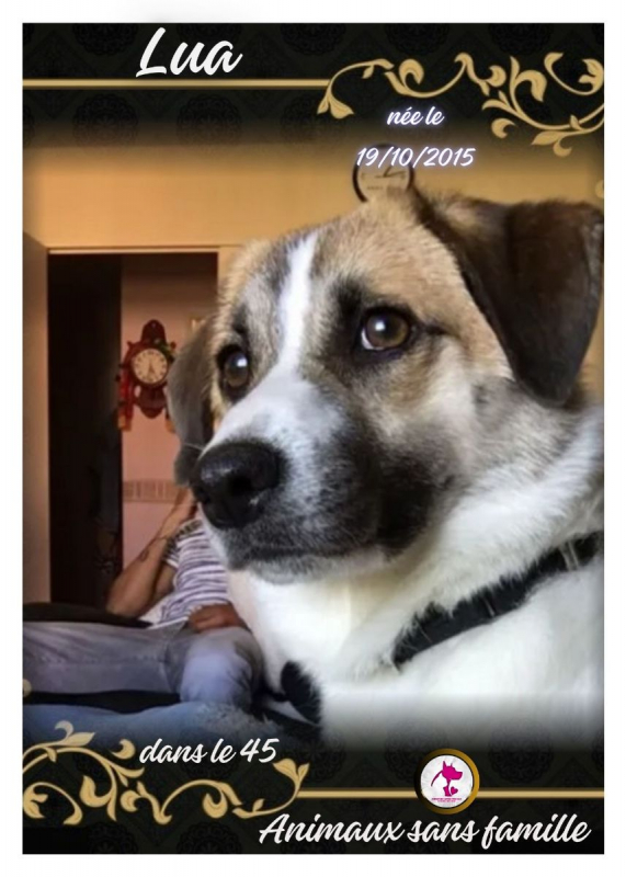 Photo de Lua