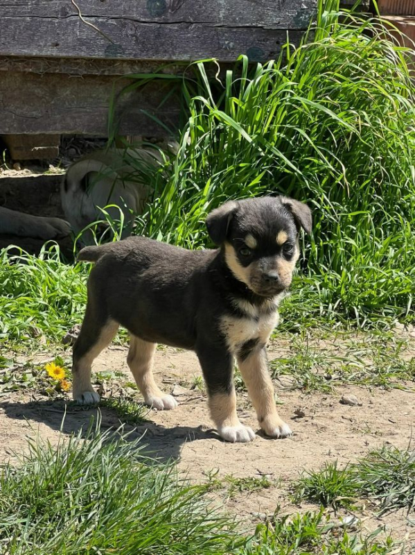 Photo #4 de Maggie