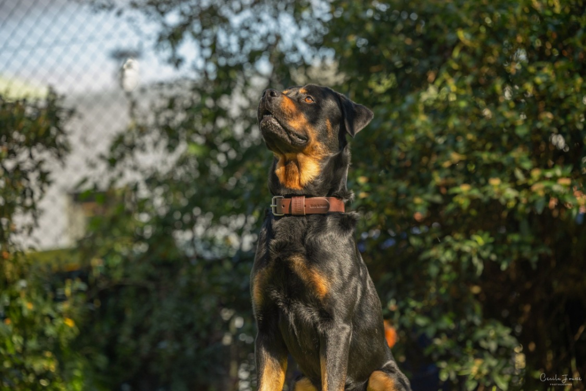 Photo #1 de Salvador