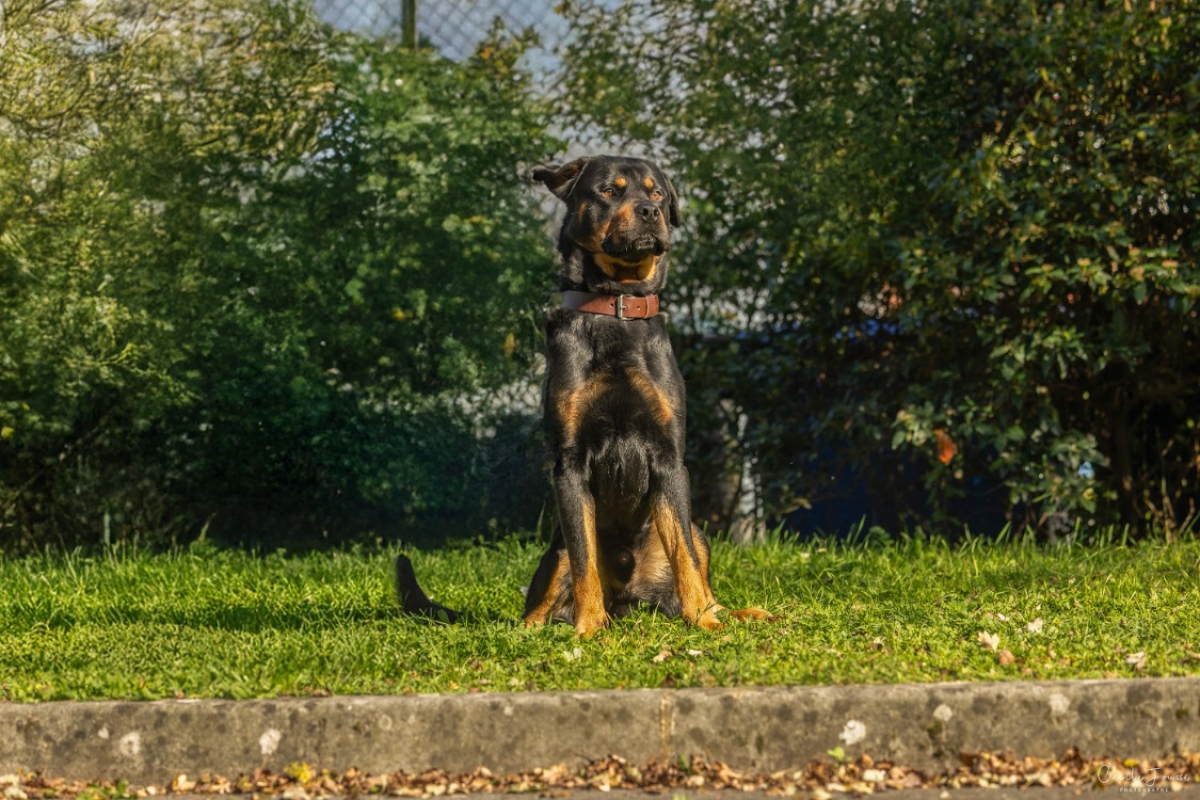 Photo #2 de Salvador