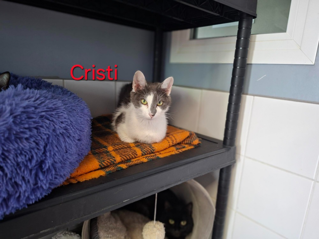 Photo de Cristi