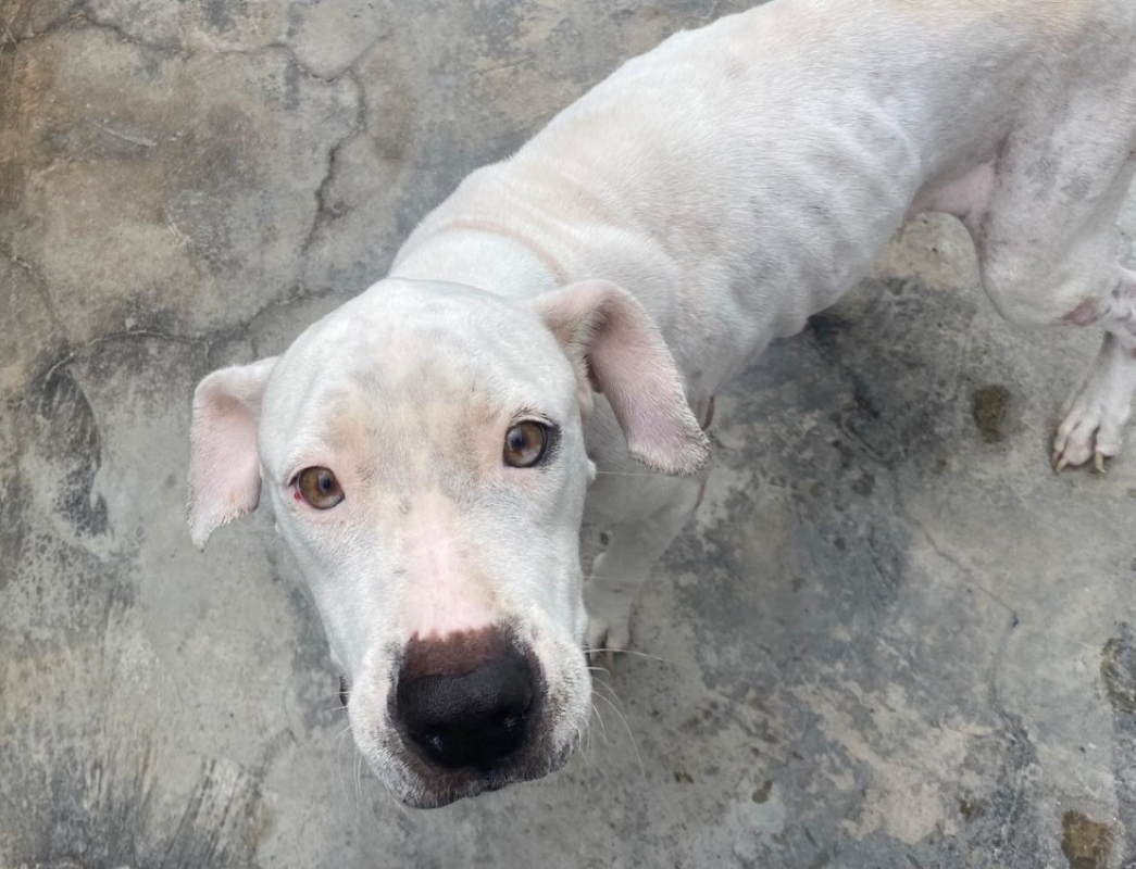 Photo #1 de Athena