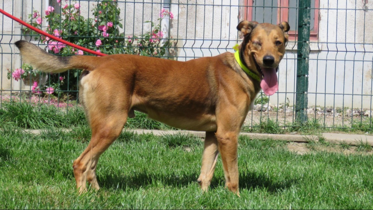 Photo #3 de Maugrey