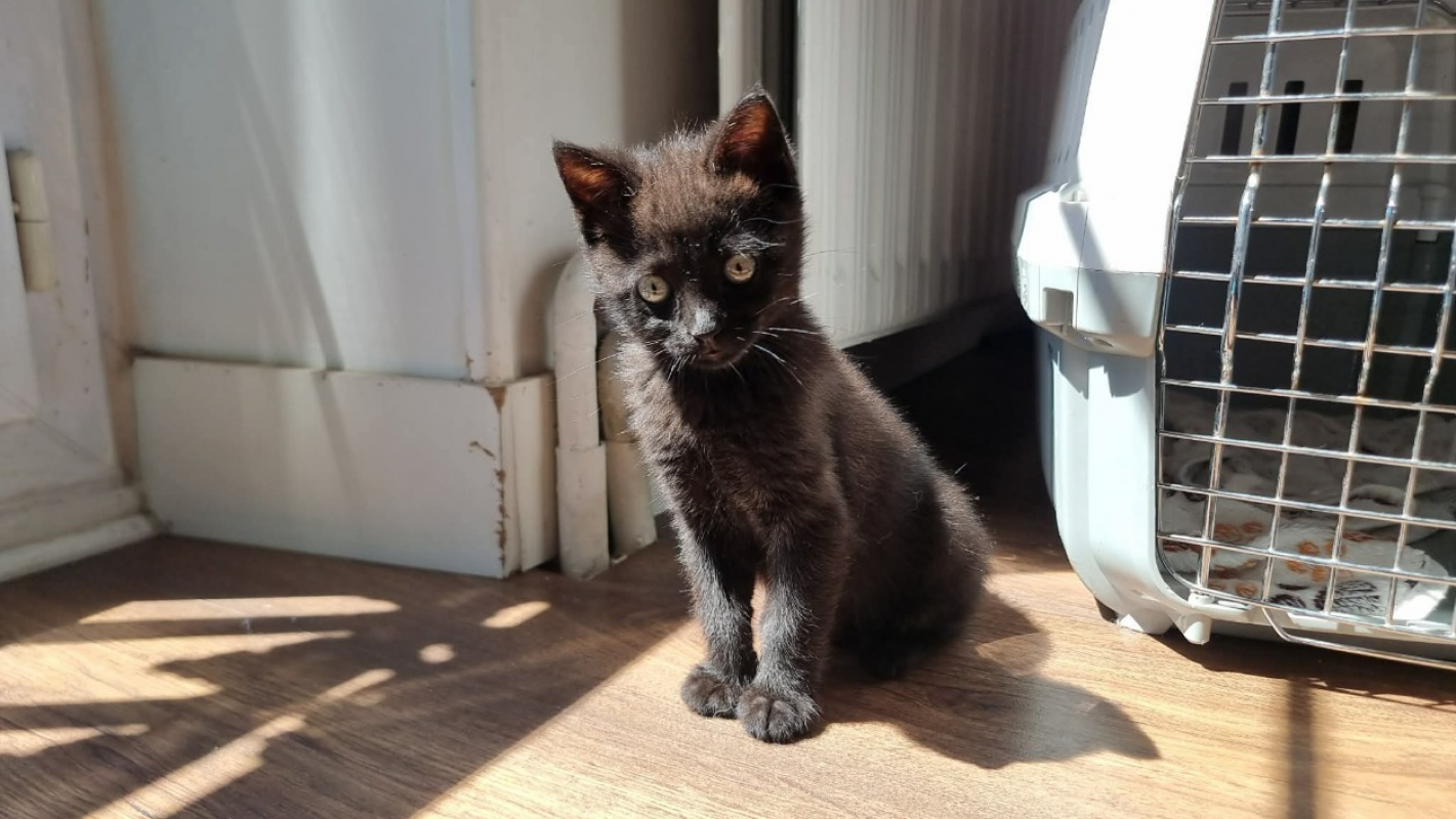 Photo de Asmar