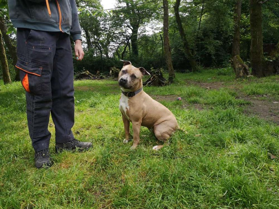 Photo #5 de Nala