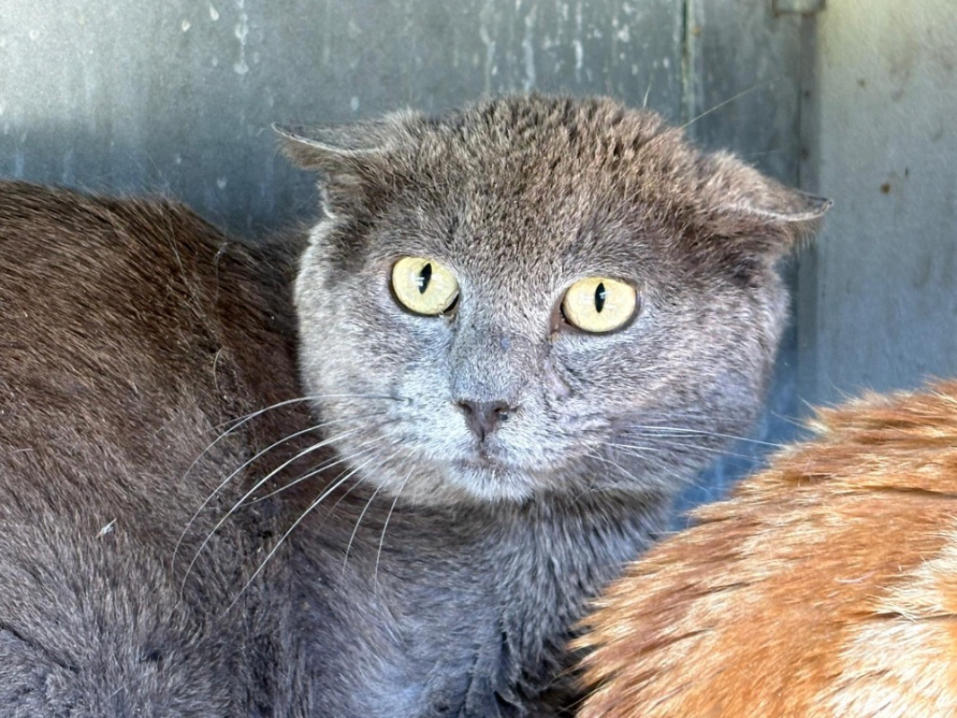 Photo de Baki