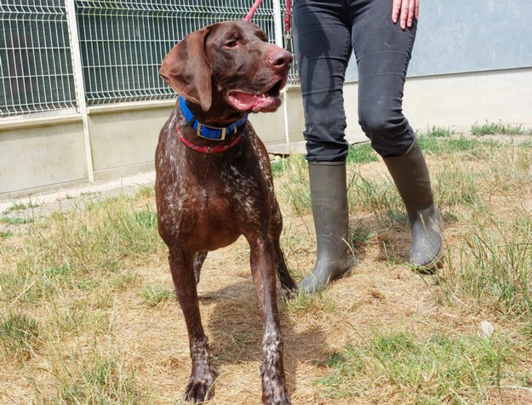 Photo #6 de Baloo
