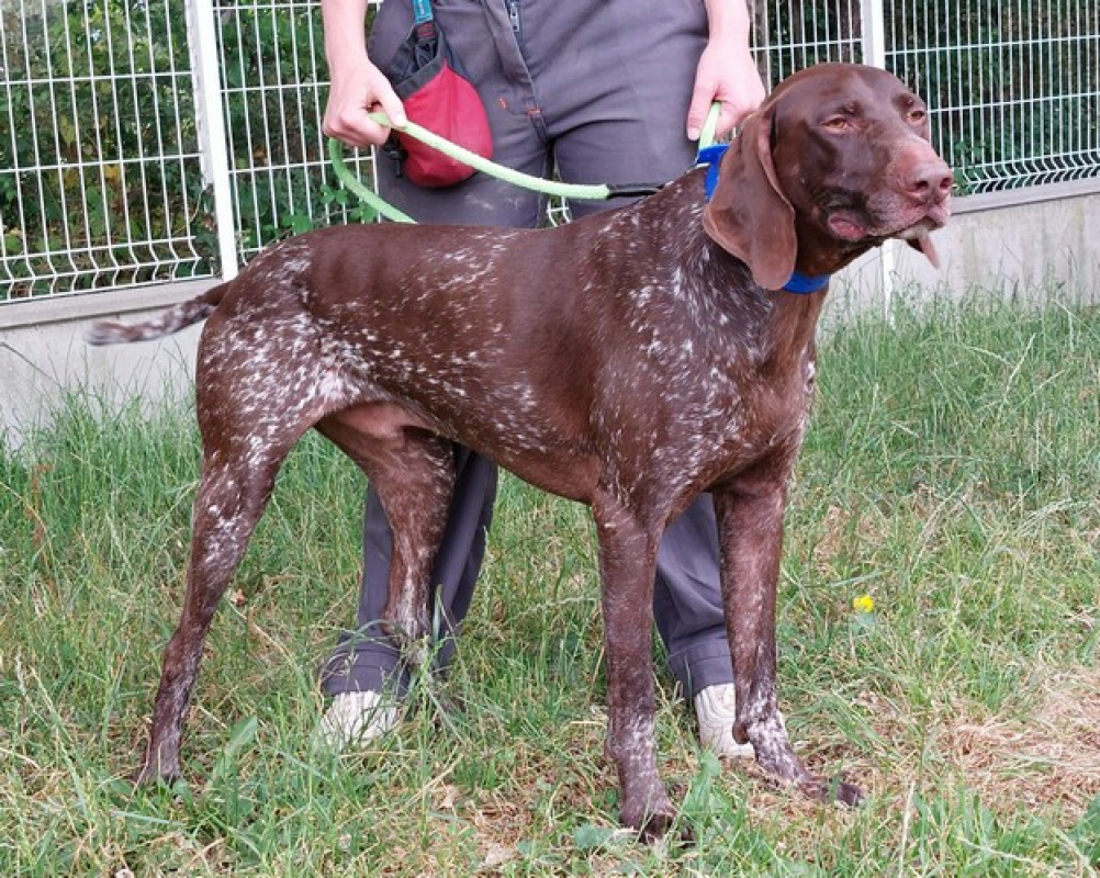 Photo #7 de Baloo