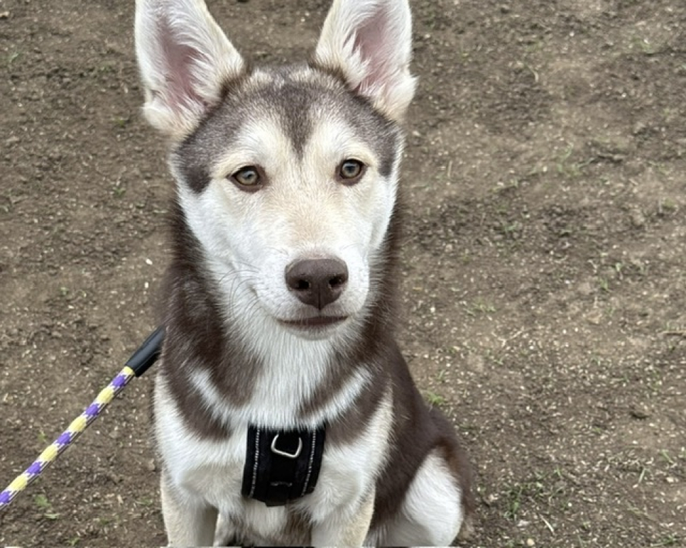 Photo de Aiko