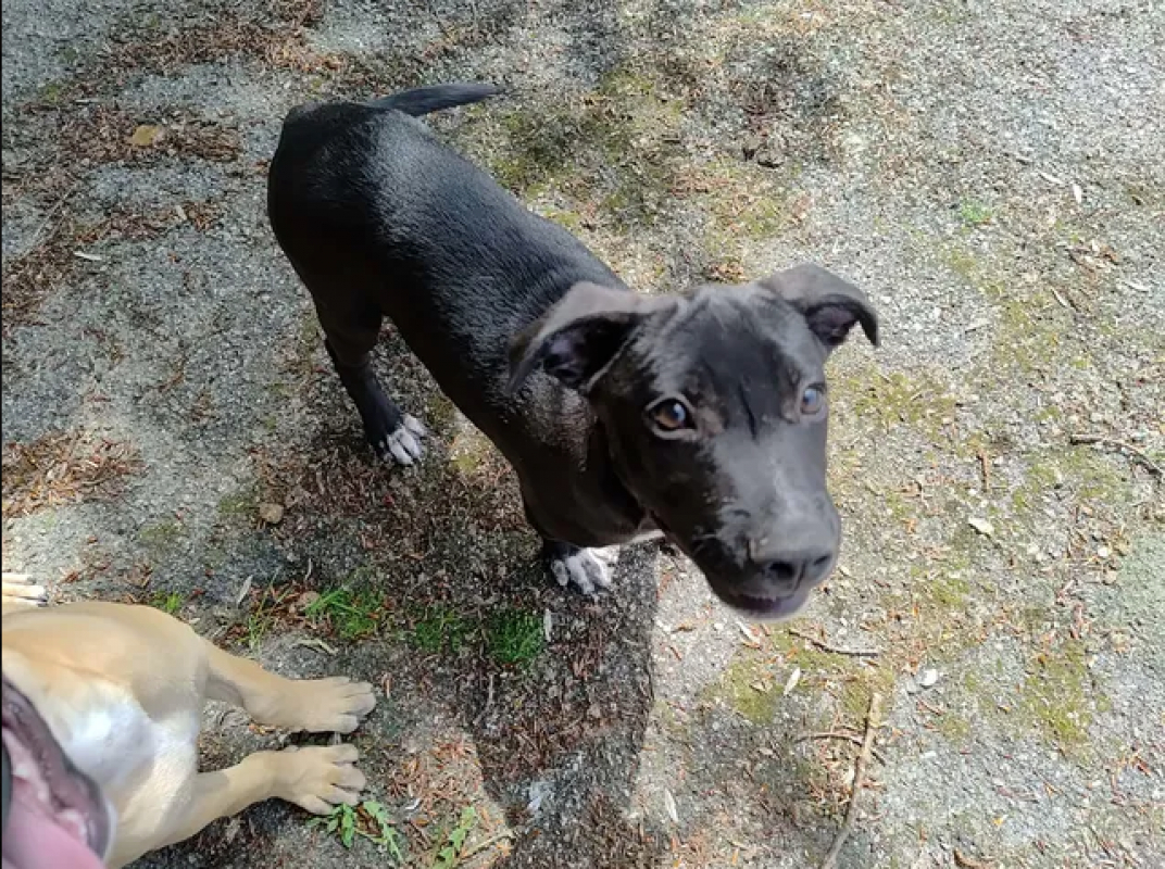 Photo #1 de Lola