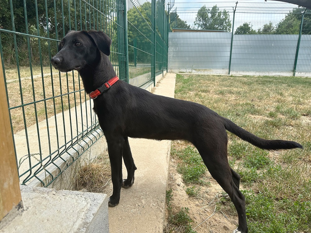 Photo #2 de Arwen