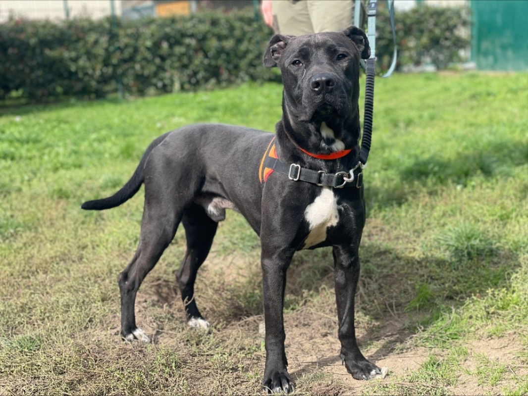 Photo #1 de L'artist