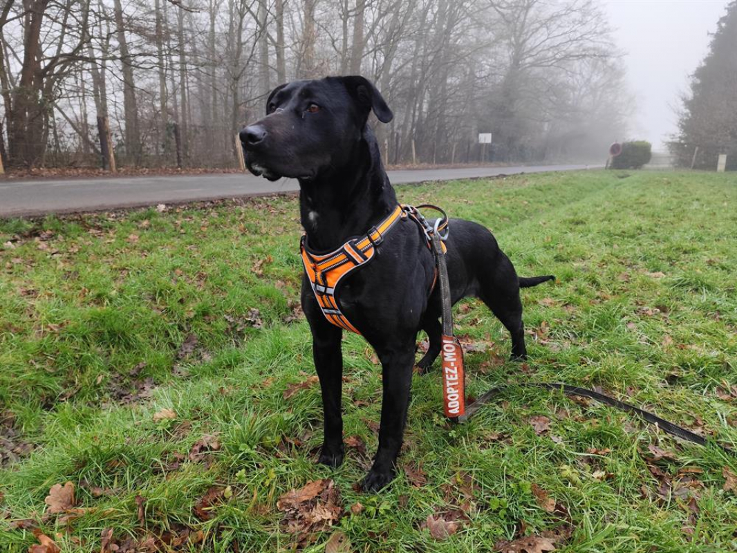 Photo de Zeytin