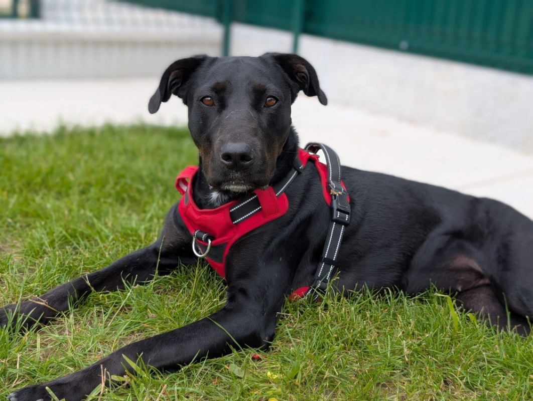 Photo #2 de Zeytin