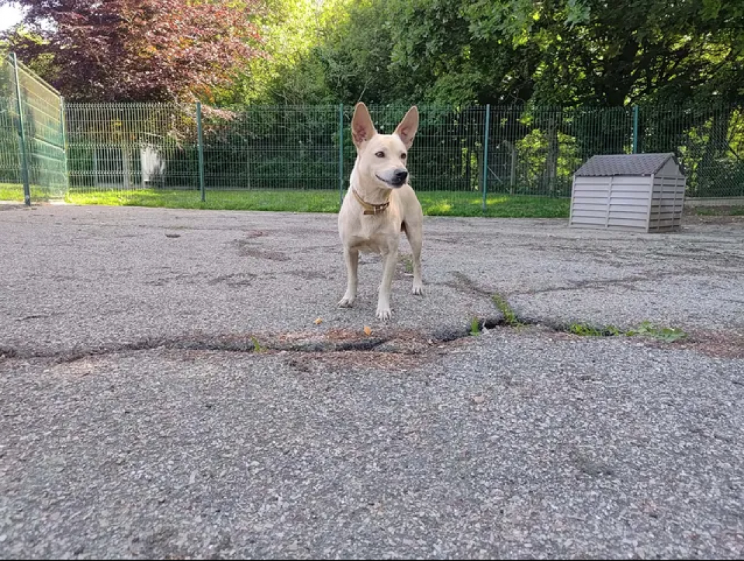 Photo #2 de Lucky