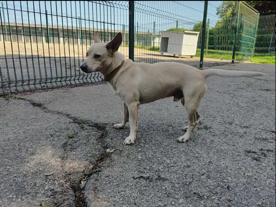 Photo #5 de Lucky