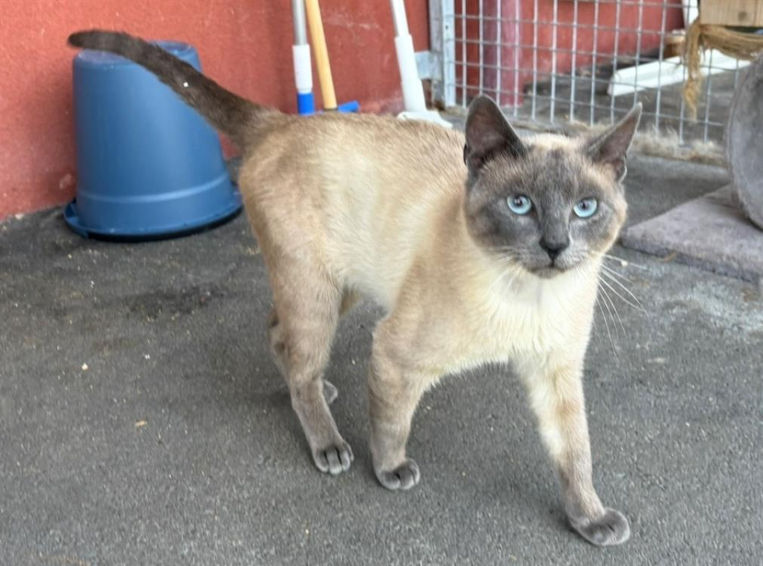 Photo de Tcheuky