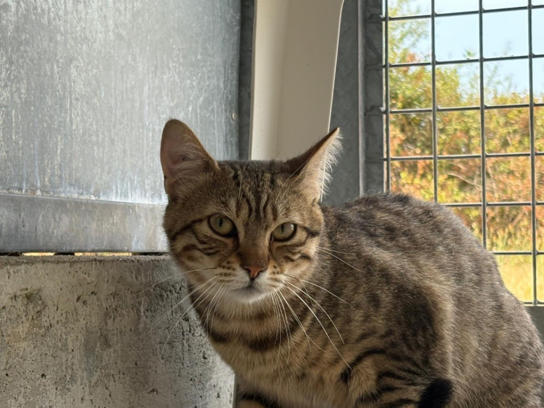 Photo de Lola