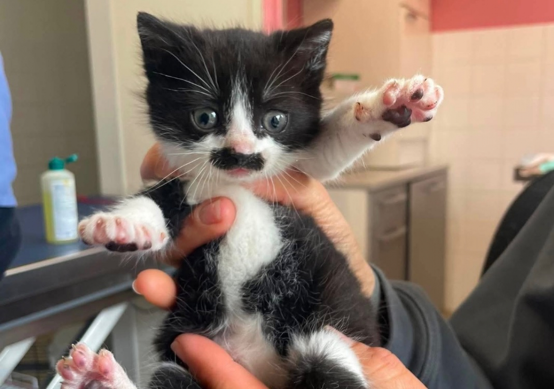 Photo de Caramel