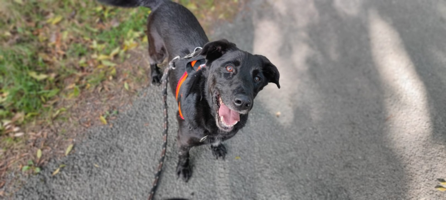 Photo #4 de Baltazar