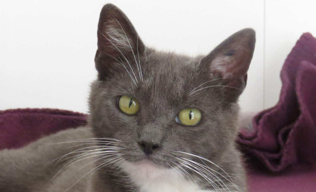 Photo #1 de Missy