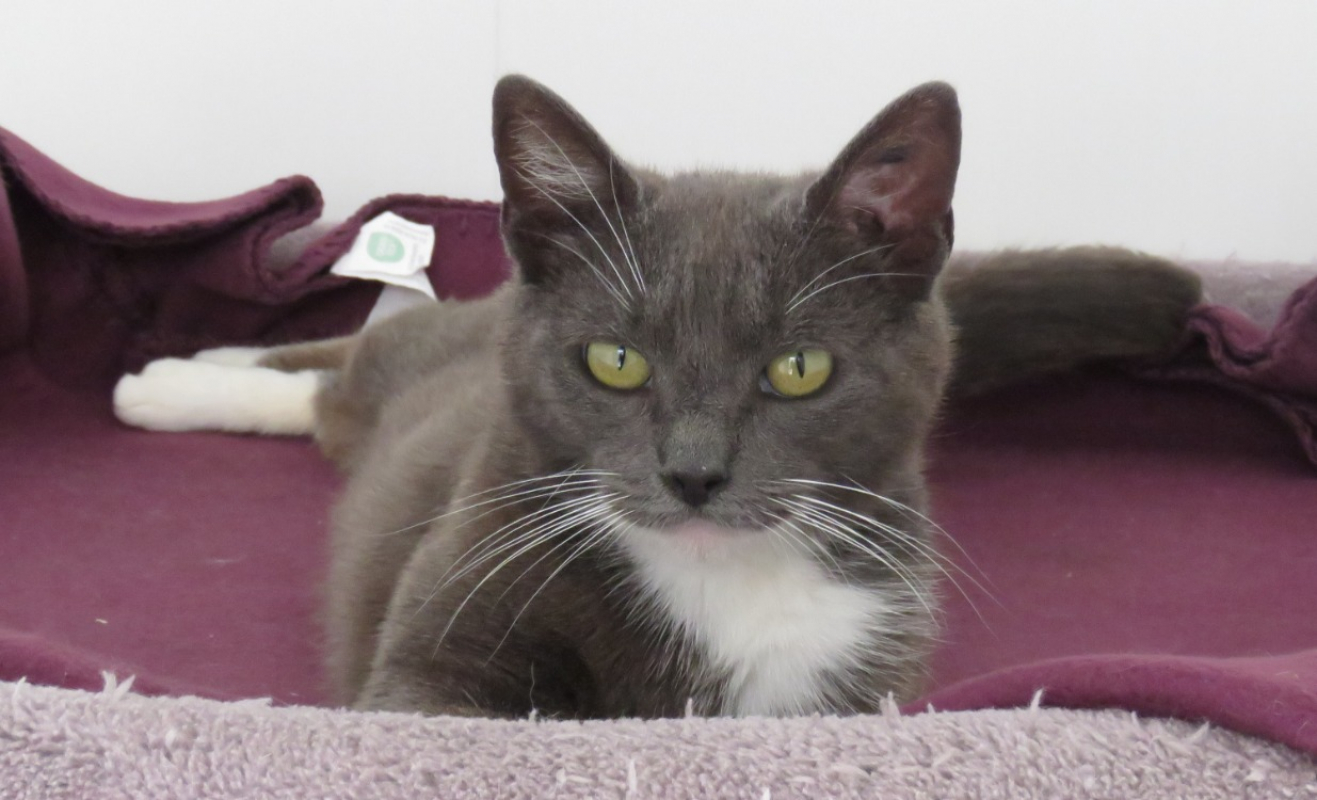 Photo #2 de Missy