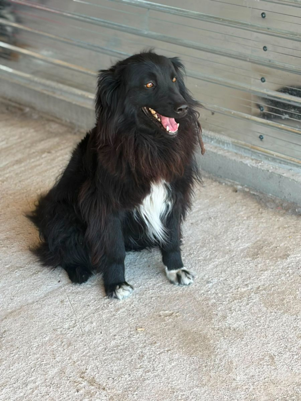 Photo #4 de LUNNA