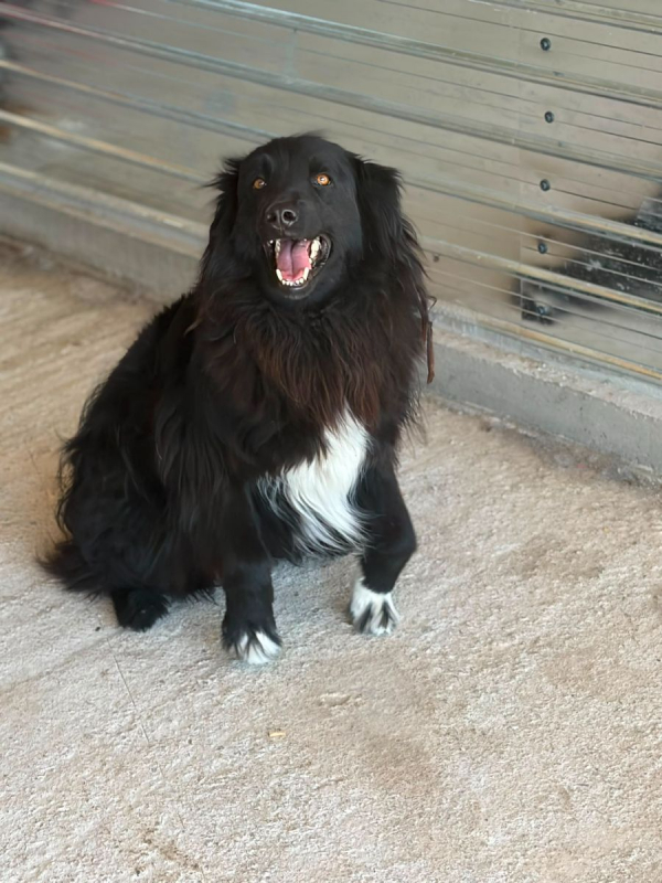 Photo #6 de LUNNA